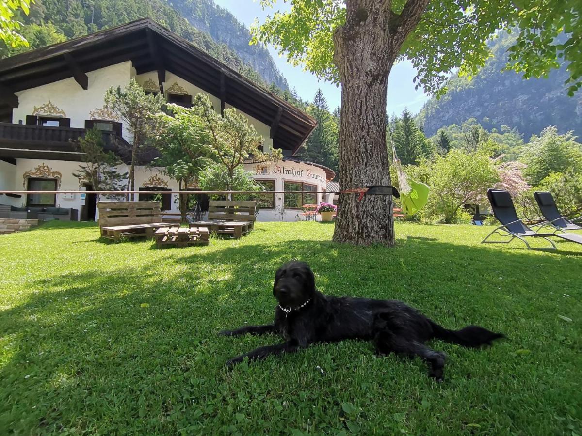 Pension Almhof Baumgarten Bad Reichenhall Dış mekan fotoğraf