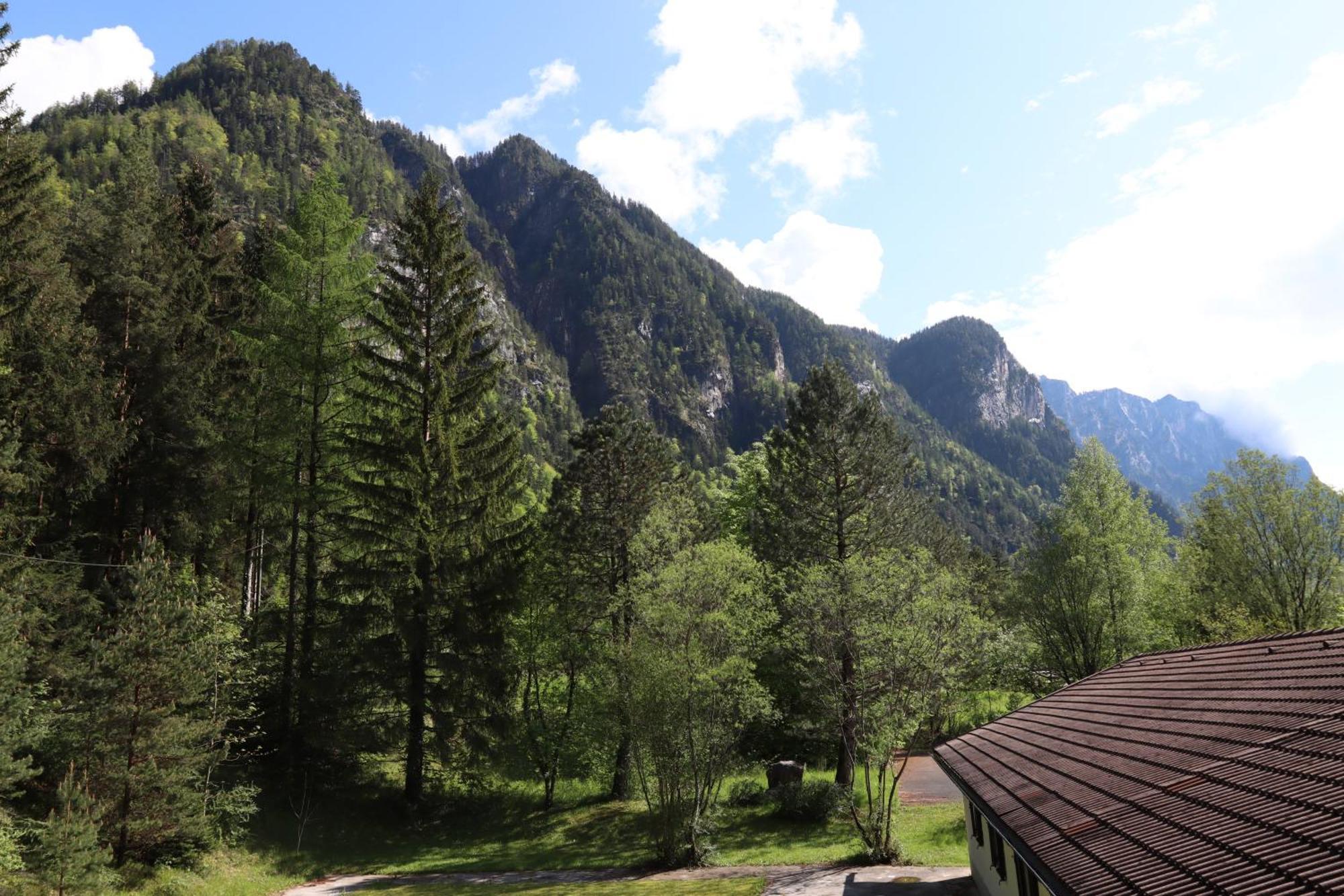 Pension Almhof Baumgarten Bad Reichenhall Dış mekan fotoğraf